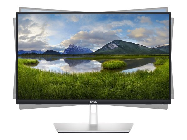 Dell P2424Ht - LED-Monitor - 24" 23.8" - Schermo piatto (tft/lcd) - 60,5 cm