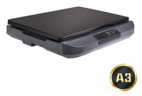 Avision Flachbettscanner FB5100 A3 - Scanner flatbed - A3