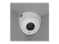 Axis TQ9601 CONDUIT TOP Box - Rete di accessori