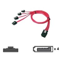 Chenbro Micom SAS - Serial ATA - 0,6 m - SATA I - Maschio/Maschio - Rosso - 61 cm (24")