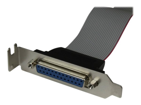 StarTech.com Low Profile 16in Parallel Port Header Cable Adapter w/Bracket DB25 to IDC26 - Cavo - Di
