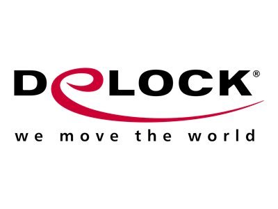 Delock RJ50 zu USB 2.0 Typ-A Spiralkabel - Cavo - Digitale/dati