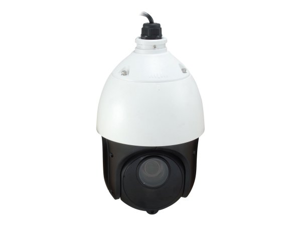 LevelOne FCS-4051 - Telecamera di sicurezza IP - Interno e esterno - Cablato - CE/FCC - Soffitto - N