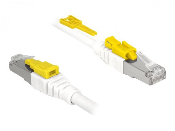 Delock RJ45 Kabel Cat 6a Secure - Cavo - Rete
