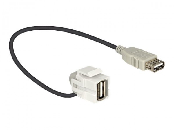 Delock Keystone Modul USB 2.0 A Buchse 110°> 2.0 mit Kabel weiß - Cavo - Digitale/dati