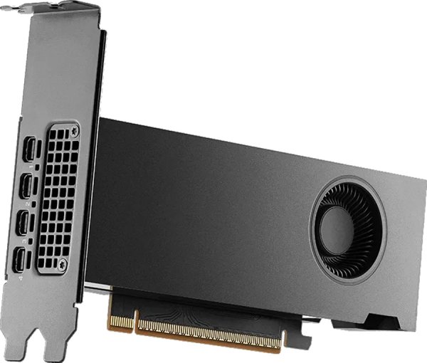 PNY nVidia Rtx Pro 2000 Blackwell - Scheda grafica - PCI-Express