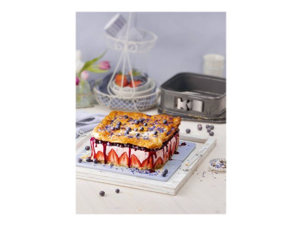 Kaiser Elektro La Forme Plus Springform quadratisch 24 x 24 cm