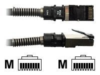 PatchSee PCI6 FTP 2.4m - 2,4 m - Cat6a