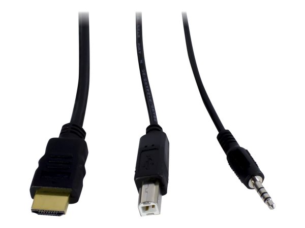 Inter-Tech AS-41HA HDMI - 1920 x 1440 Pixel - Full HD+ - Nero