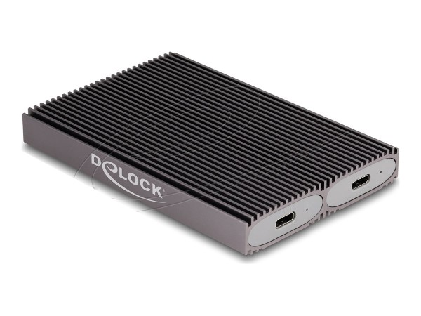 Delock Externes USB Type-C Dual Combo Gehäuse für 2 x M.2 - Alloggiamento - USB Typ C