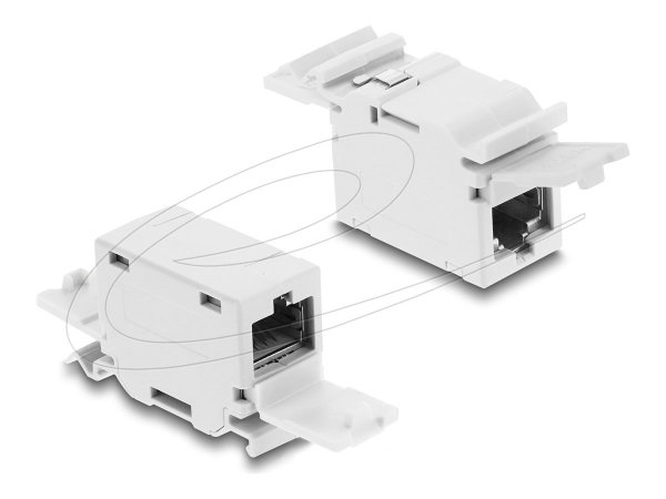 Delock RJ45 Kupplung Cat.6A Buchse zu mit Staubschutzklappe für Hutschienen Montage