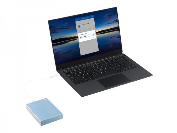 Seagate One Touch STKZ4000402 - Festplatte - Disco rigido - 2,5"