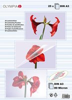 Olympia 9182 - Trasparente - A3 - 0,08 mm - 472 mm - 315 mm - 5 mm