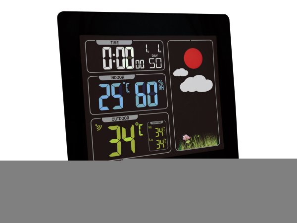 Technoline WS 6448 - Nero - Termometro da interno - Termometro da esterno - 120 mm - 24 mm - 120 mm