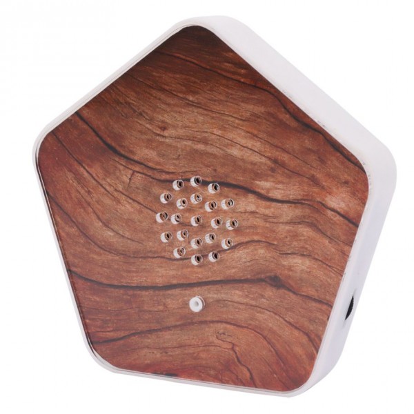 Olympia Sound of Nature Box 1 Stück - Altoparlante