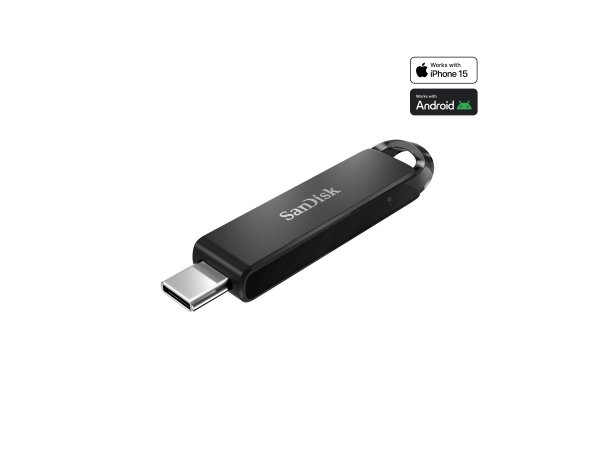 SanDisk SDCZ460-256G-G46 - 256 GB - USB tipo-C - 3.2 Gen 1 (3.1 Gen 1) - 150 MB/s - Lamina di scorri