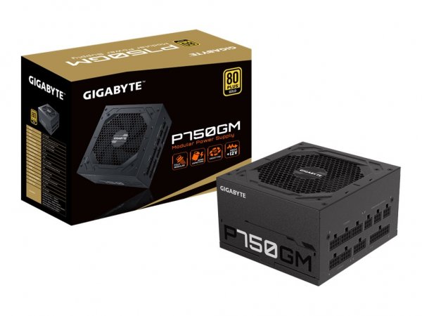 Gigabyte P750GM - 750 W - 100 - 240 V - 50 - 60 Hz - 12-6 A - Attivo - 16 ms