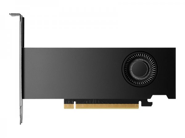 PNY nVidia Rtx 2000 Ada Generation - Scheda grafica - PCI-Express