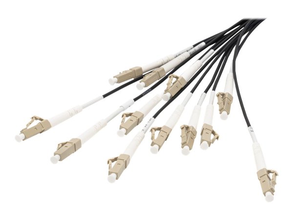 DIGITUS Cavo breakout universale in fibra ottica dotato di terminali - Multimode OM4 - 12 fibre - LC