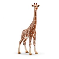 Schleich WILD LIFE 14750 - 3 anno/i - Safari - Wild animals / adventure toys - Multicolore - Plastic