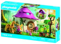 PLAYMOBIL Fairies 71838 Aktion/Abenteuer e Mehrfarbig Kunststoff