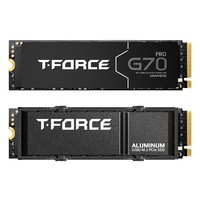 Team Group HARD DRIVE M2 SSD PCIE4 G70 Pro
