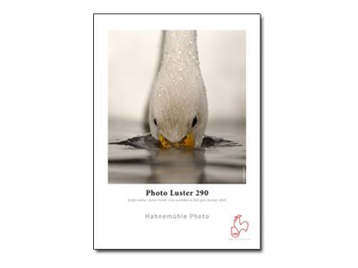 Hahnemühle Photo Luster 260 - Bianco - Semi lucida - 260 g/m² - 265 µm - 610 mm - 30 m