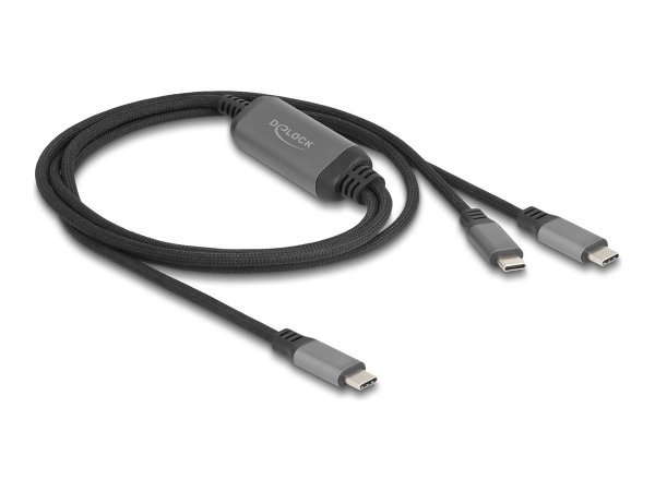 Delock USB-C Y-Kabel 1 x Stecker zu 2 PD 3.0 100 W Intelligente Stromaufteilung 1 - Cavo - Digitale/