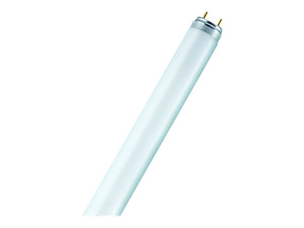 Osram L 30 W/865 - 30 W - 2350 lm