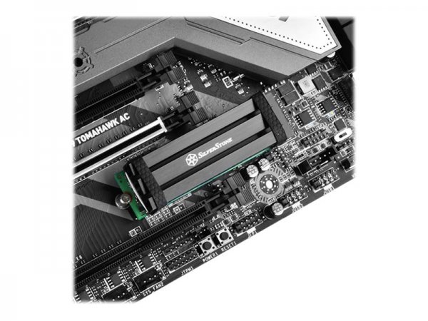 SilverStone SST-TP02-M2 - Dissipatore di calore/Radiatore - Nero