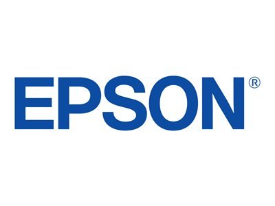 Epson Singlepack Yellow 250Xl ink - Originale - Cartuccia di inchiostro