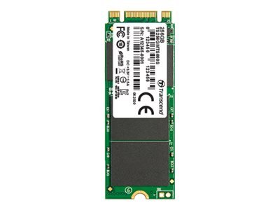 Transcend M.2 SSD 600S - 64 GB - M.2 - 520 MB/s - 6 Gbit/s