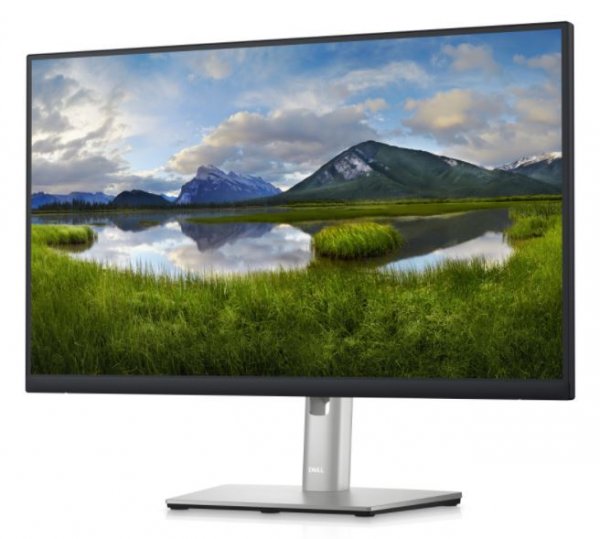 Dell 24 Monitor - P2423DE - Schermo piatto (tft/lcd) - 60,5 cm