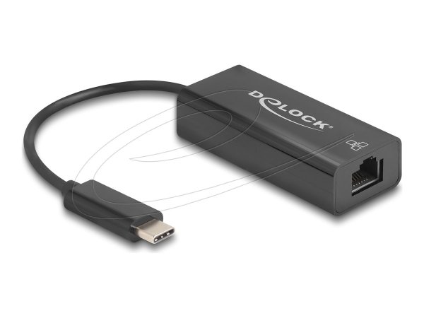 Delock USB 2.0 Type-C Adapter zu 10/100 Mbps LAN - Adattatore - Digitale/dati