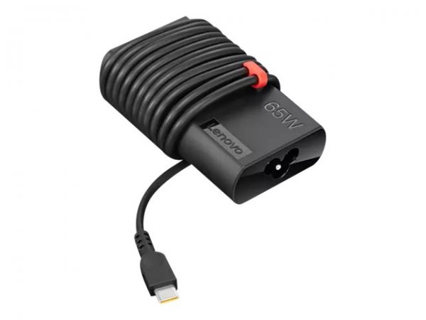 Lenovo GX20Z46255 - Computer portatile - Interno/esterno - 100 - 240 V - 50 - 60 Hz - 2.5 A - Lenovo