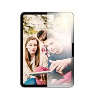 PanzerGlass AntiReflective Protector iPad Pro 11 2025/Fastfit