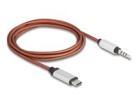 Delock AUX Kabel USB Type-C Stecker zu Klinkenstecker - Cavo - Digitale/dati