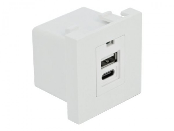 Delock Easy 45 USB Ladeportmodul 1 x Typ-A+ 1 Type-C - Digitale/dati - USB Typ C