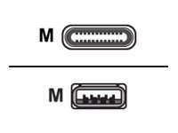 Sharkoon USB-Kabel - USB-C M zu USB Typ A - Cavo - Digitale/dati