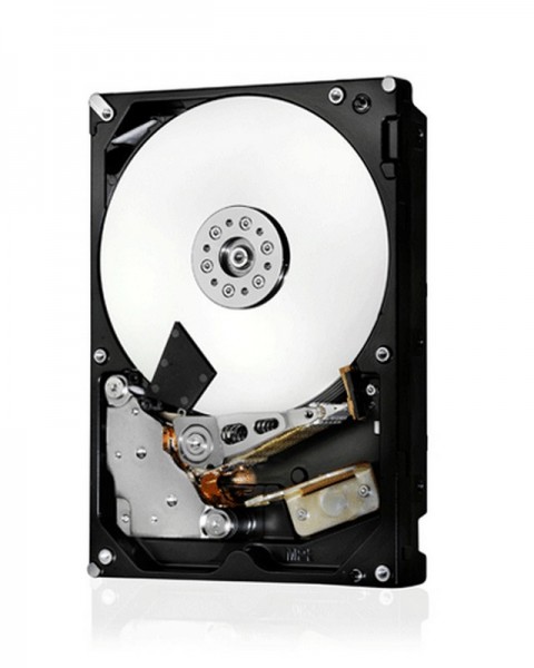 WD HGST 4TB Ultrastar HUS726040ALA610 REFURBISHED - Testato e Garantito