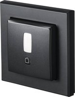 eQ-3 AG Homematic IP Bewegungsmelder für 55er Rahmen– innen anthrazit