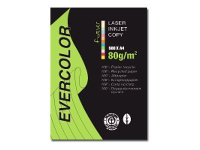 Clairefontaine EverColor grün Recyclingpapier A 4 80 g 500 Bl. - Carta riciclata - 80 g/m²