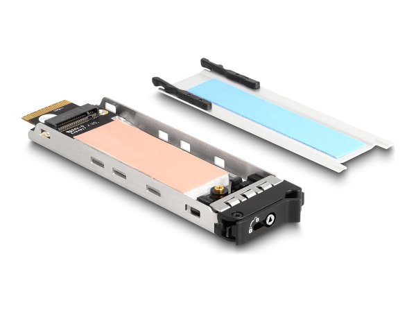 Delock Vassoio interno Rack mobile 1 x M.2 NVMe SSD per Mobile Rack 47028 / 47042 / 47070 / 47072 /