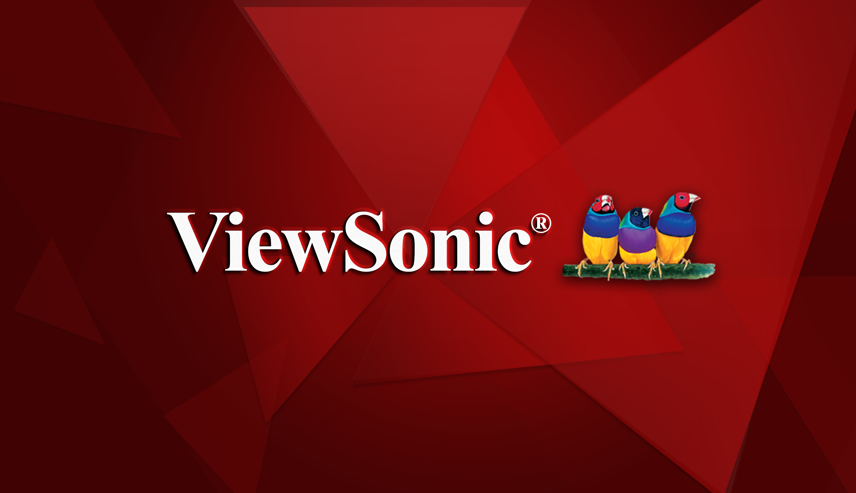 ViewSonic