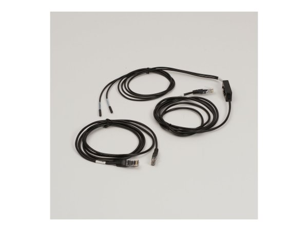 APC NetShelter Rack PDU 10000 Temp Sens - (offline) ups - Modulo rack