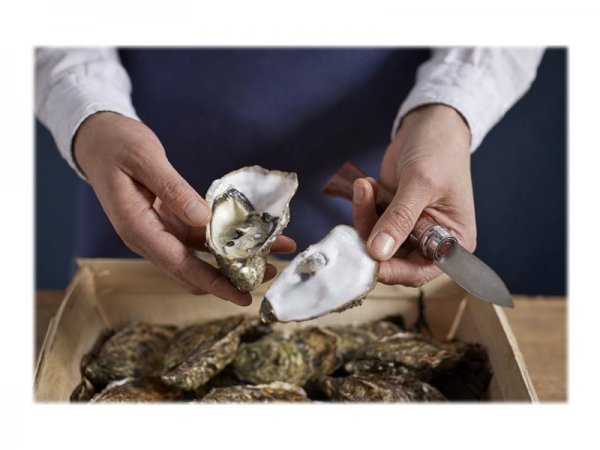 Opinel N°09 - Coltello a serramanico - Sunfish - Punta da taglio - Acciaio inossidabile - Legno - Ro