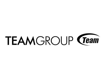 Team Group Team - Flash-Speicherkarte SD-Adapter inbegriffen - Secure Digital (SD)