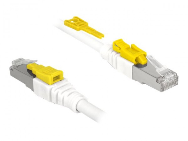 Delock RJ45 Kabel Cat 6a Secure - Cavo - Rete