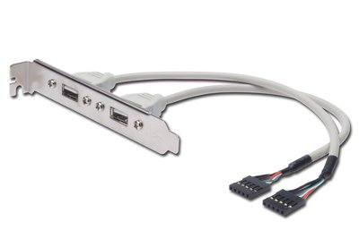 DIGITUS Cavo Staffa Slot USB - 0,25 m - USB 2.0 - USB A - IDC - UL2725 - 1 pz