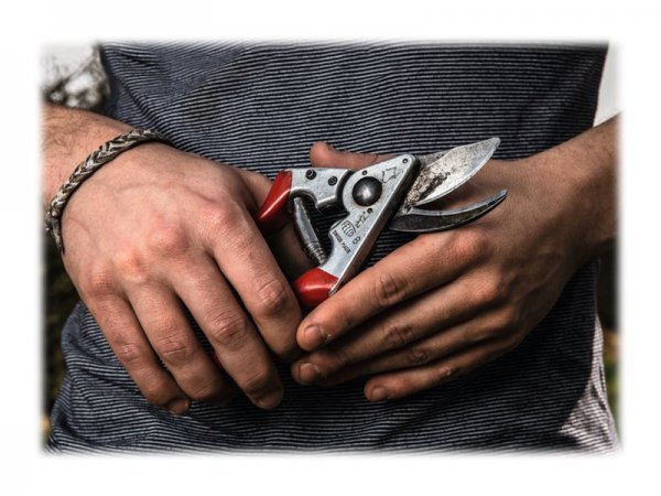 FELCO 8 Gartenschere